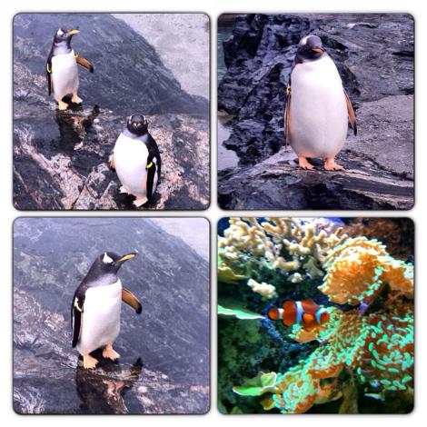 548735_10152549129695394_331315347_n