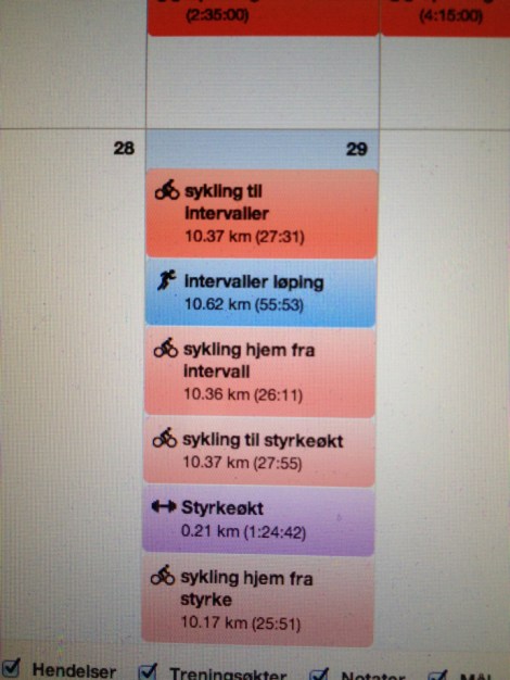 image_1360179396935544