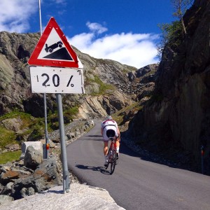 all naturen jeg har vært så heldig å fått sett i løpet av året.