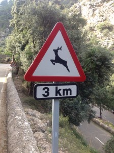 Selvom Jonas Hjorth ikke bor her nede med meg i år har lokalbefolkningen ikke glemt han, de har satt opp disse advarsel skiltene rundt omkring på øyen.