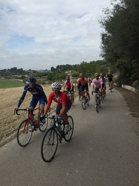 Her har Stake plassert seg strategisk unna vinden.