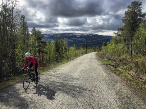 At vi får kvalitetstid sammen på trening er også gøy, selv om veinettet ikke er så stort i Finnmark er naturen nydelig.